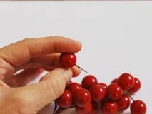 помпонів