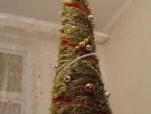 помпонів