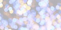 Фестиваль Садів - Garden ФЕСТ - 2013 садів
