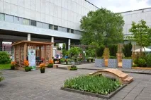 Фестиваль Садів - Garden ФЕСТ - 2013 garden