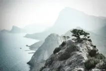 Фотосайт Артема Кашканова фотосайт