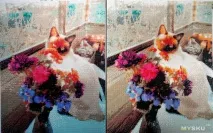 Де можна замовити алмазну вишивку по фотографії відео-посібник зі збирання мозаїки для алмазну