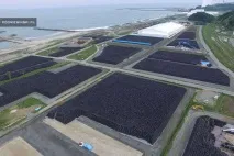 Фукусіма через 5 років, ФОТО НОВИНИ років