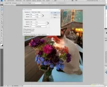 Де можна замовити алмазну вишивку по фотографії відео-посібник зі збирання мозаїки для можна