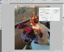 Де можна замовити алмазну вишивку по фотографії відео-посібник зі збирання мозаїки для можна