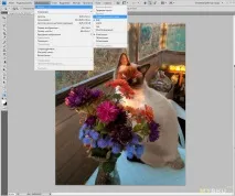 Де можна замовити алмазну вишивку по фотографії відео-посібник зі збирання мозаїки для алмазну