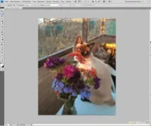 Де можна замовити алмазну вишивку по фотографії відео-посібник зі збирання мозаїки для можна