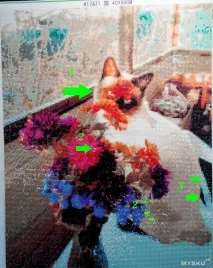 Де можна замовити алмазну вишивку по фотографії відео-посібник зі збирання мозаїки для можна