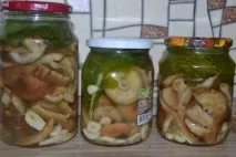 гриби