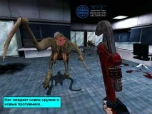 Half-Life