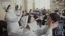 Любителі історії любителі