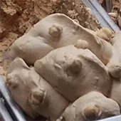 Італійське морозиво ріжок