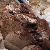 Італійське морозиво ріжок