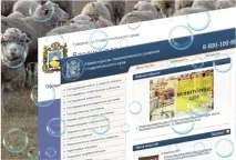 Інвестиційні проекти та реальність реальність