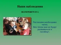 Дослідницька робота Рослини живі істоти - початкові класи, презентації живі