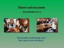 Дослідницька робота Рослини живі істоти - початкові класи, презентації робота
