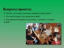 Дослідницька робота Рослини живі істоти - початкові класи, презентації дослідницька