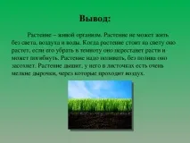 Дослідницька робота Рослини живі істоти - початкові класи, презентації рослини