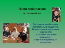Дослідницька робота Рослини живі істоти - початкові класи, презентації робота