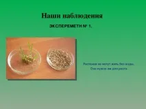 Дослідницька робота Рослини живі істоти - початкові класи, презентації рослини