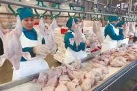 українські