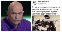 Як досягти гармонії у парі 6 моделей відносин гармонії