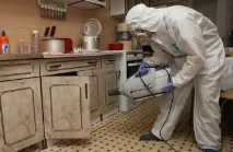 Де і чому з’являються, чим і як обприскувати. обприскувати