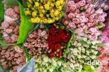 Які квіти вигідно вирощувати квіти