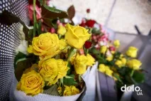 Які квіти вигідно вирощувати квіти
