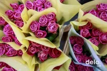 Які квіти вигідно вирощувати квіти