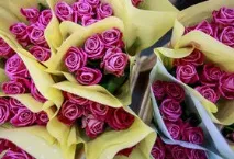 Які квіти вигідно вирощувати квітів