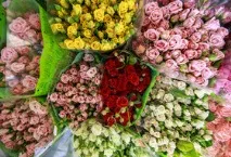 Які квіти вигідно вирощувати ринку