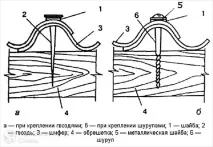 нокти