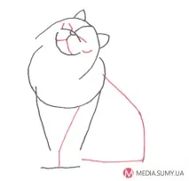 Як намалювати кішку Турецька Ангора крок за кроком ангора