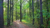 Як відчистити клей клей