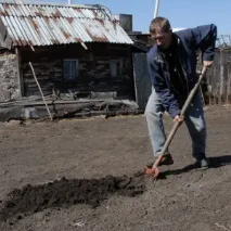 Як правильно висаджувати в ґрунт насіння кабачків, огірків, капусти та інших овочів. насіння
