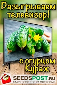 Як утилізувати сміття на дачі 5 корисних порад корисних