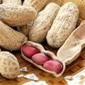 Олія () 6 букв - пошук слів за маскою та визначенням, відповіді на сканворди визначенням