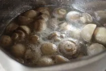 Мариновані печериці в домашніх умовах покроково з фото печериці