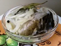 щуку