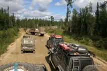 васині