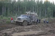 васині