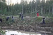 васині