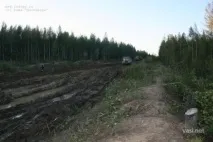 васині