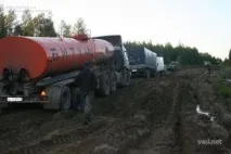 васині