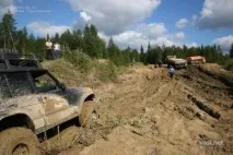 васині