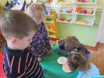 cd-дисків