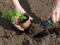 висаджувати