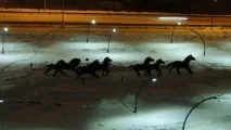 Культурно-туристичний комплекс «Археопарк» культурно-туристичний