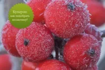 Купероз шкіри екстракт